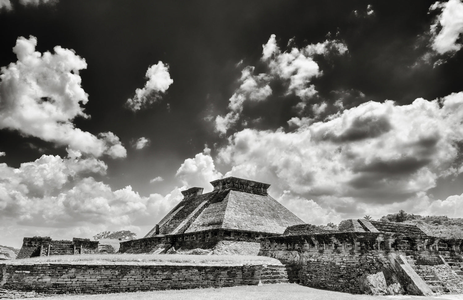 The Toxic Truth of Mexican Vanilla