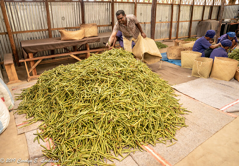 The Godfather of Vanilla