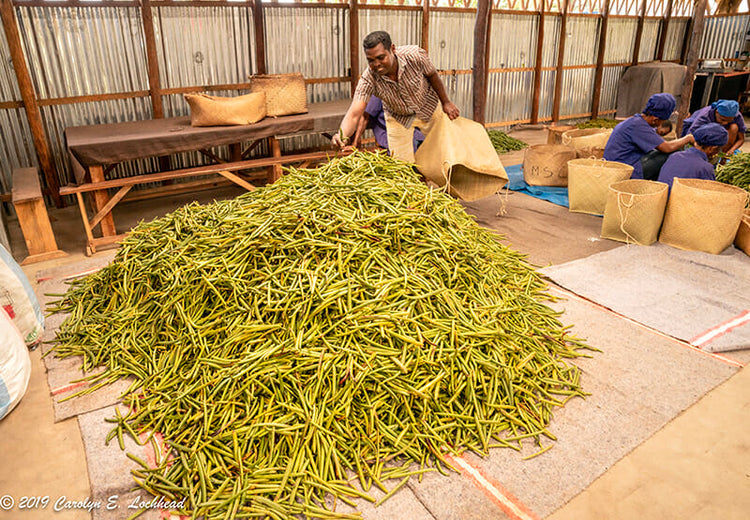 The Godfather of Vanilla