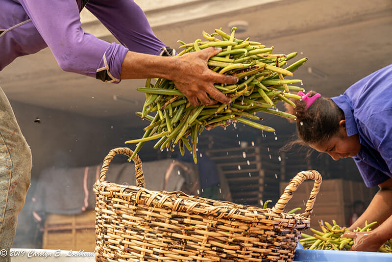 Bloomberg Features Cook's