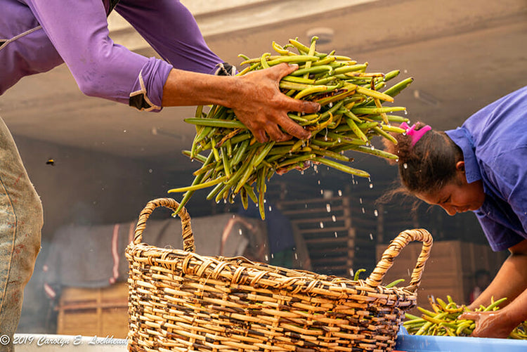 Bloomberg Features Cook's