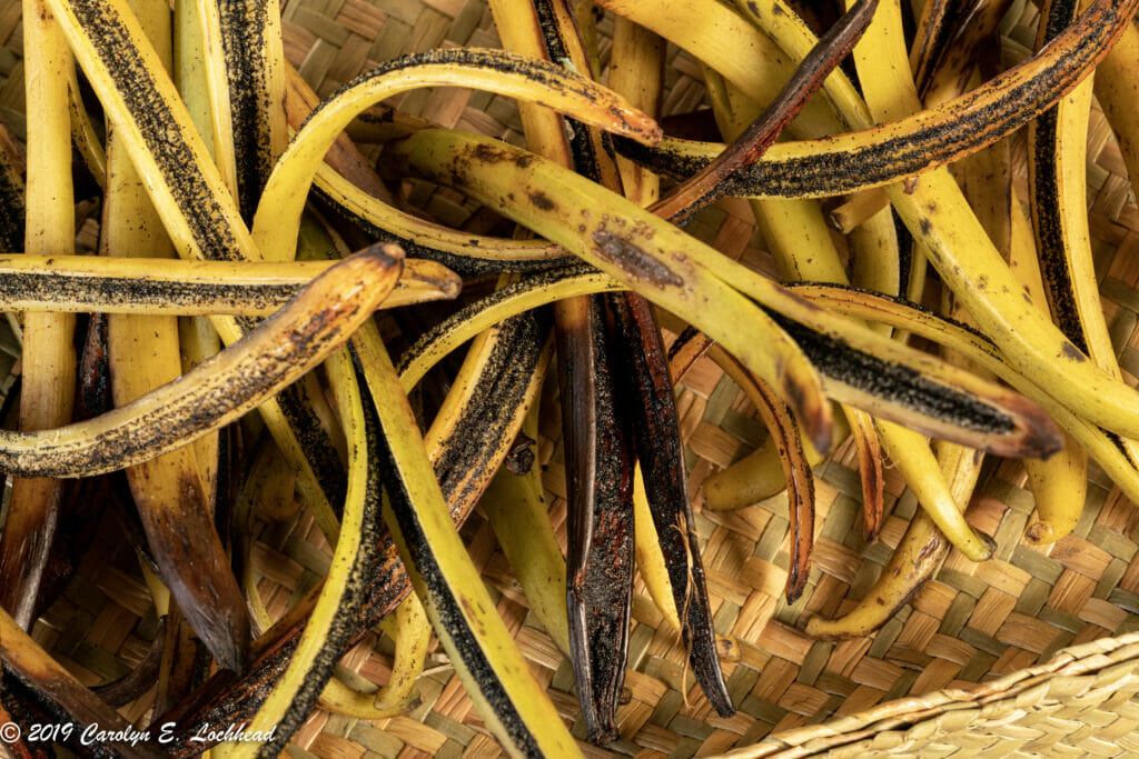 Ethics of Vanilla Beans