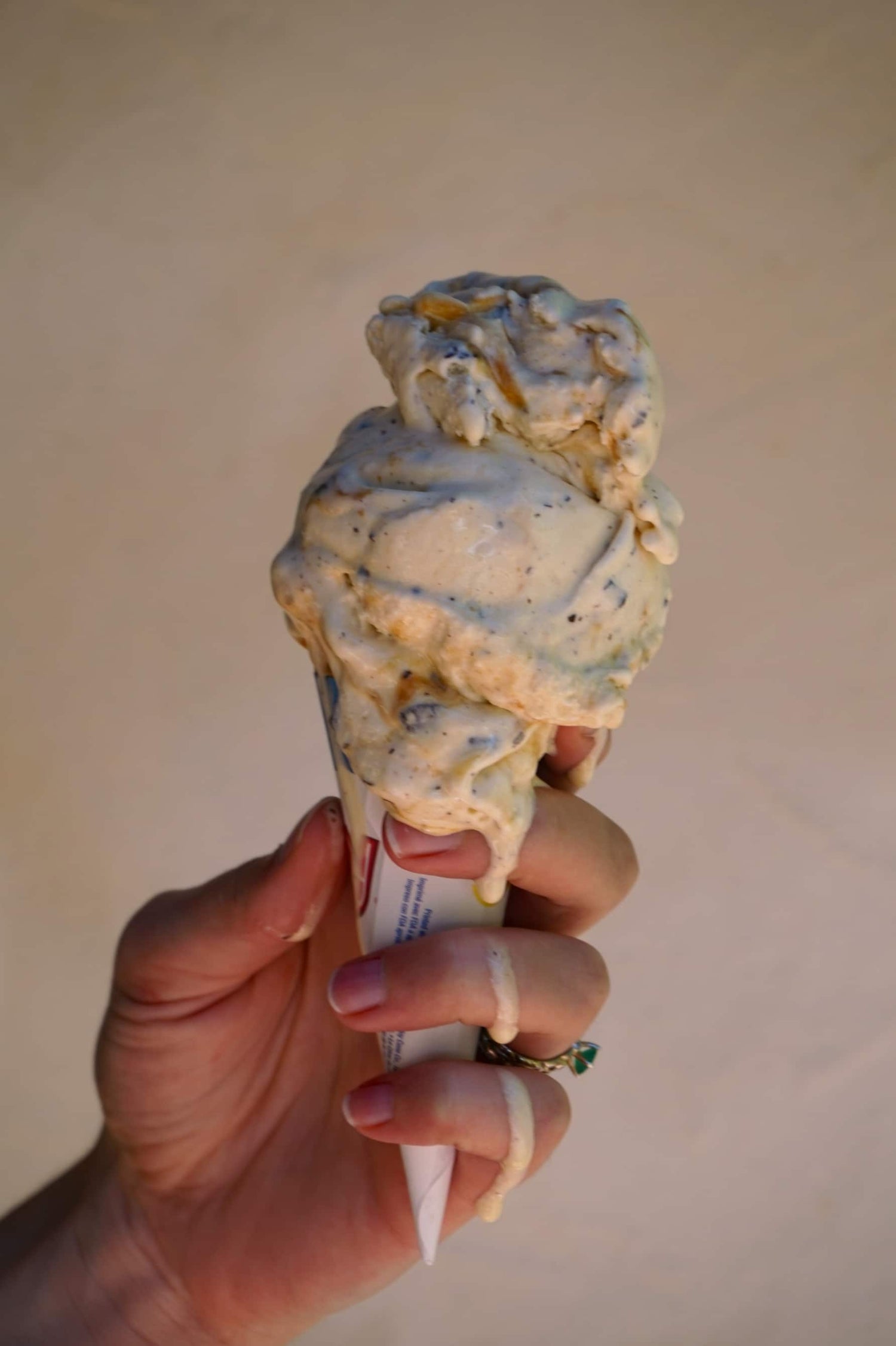 Salted Caramel Swirl Ice Cream with Dark Chocolate Chips