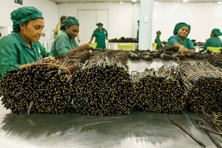 VANILLA MARKET REPORT: April 2016