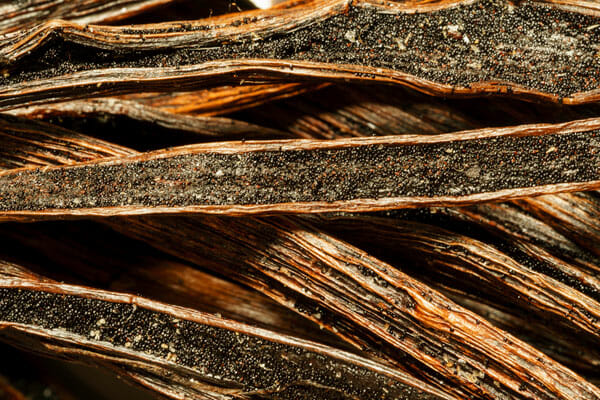 Vanilla Bean Seeds