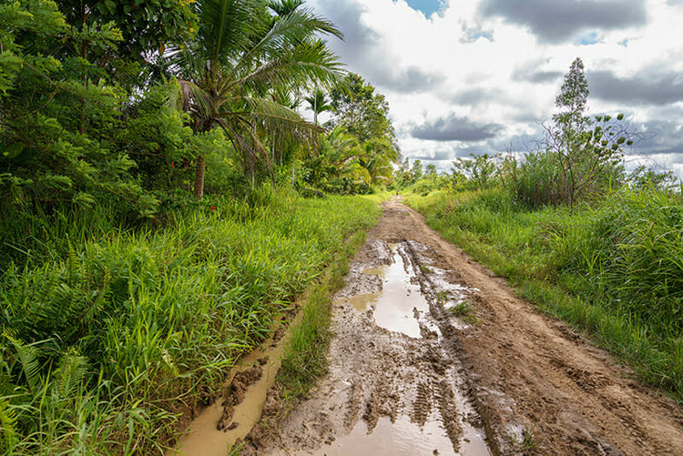 Vanilla Harvest So Far