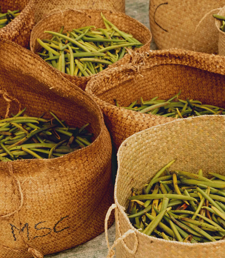 Vanilla Market Report March 2025