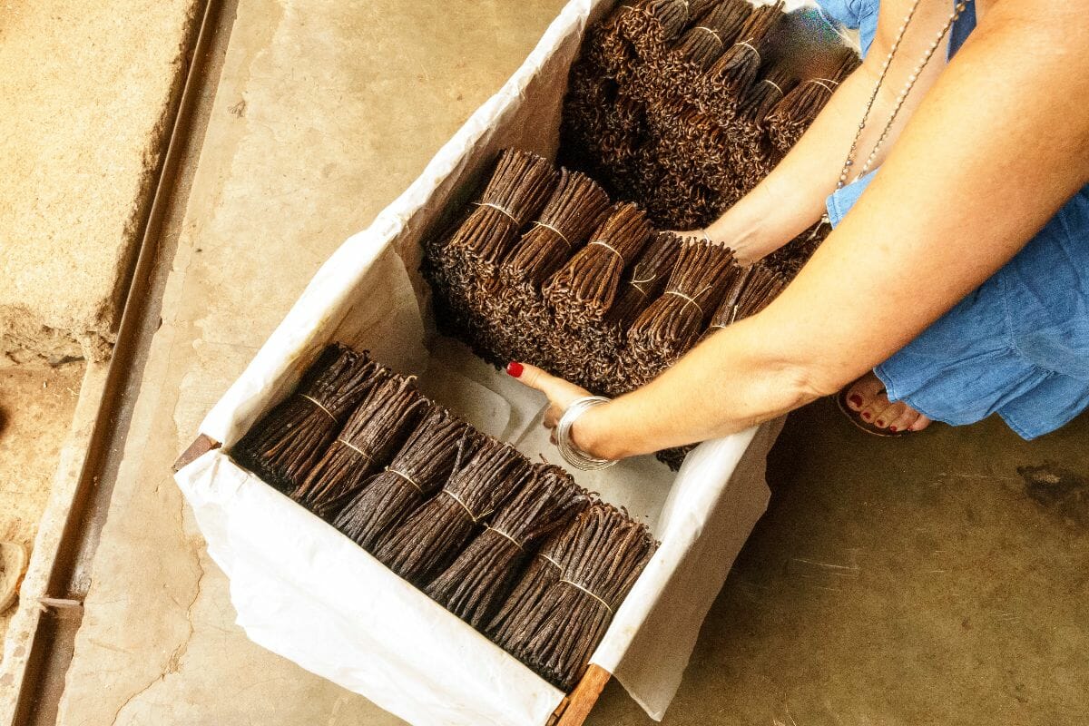 Which Vanilla Is Right For Me?