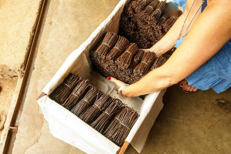 Which Vanilla Is Right For Me?