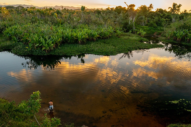 VANILLA MARKET REPORT: July 2020