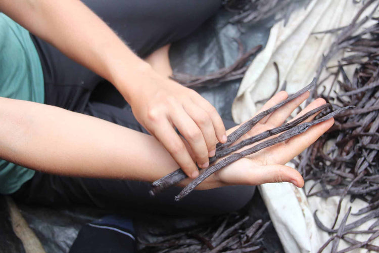 Welcome to Vanilla Land