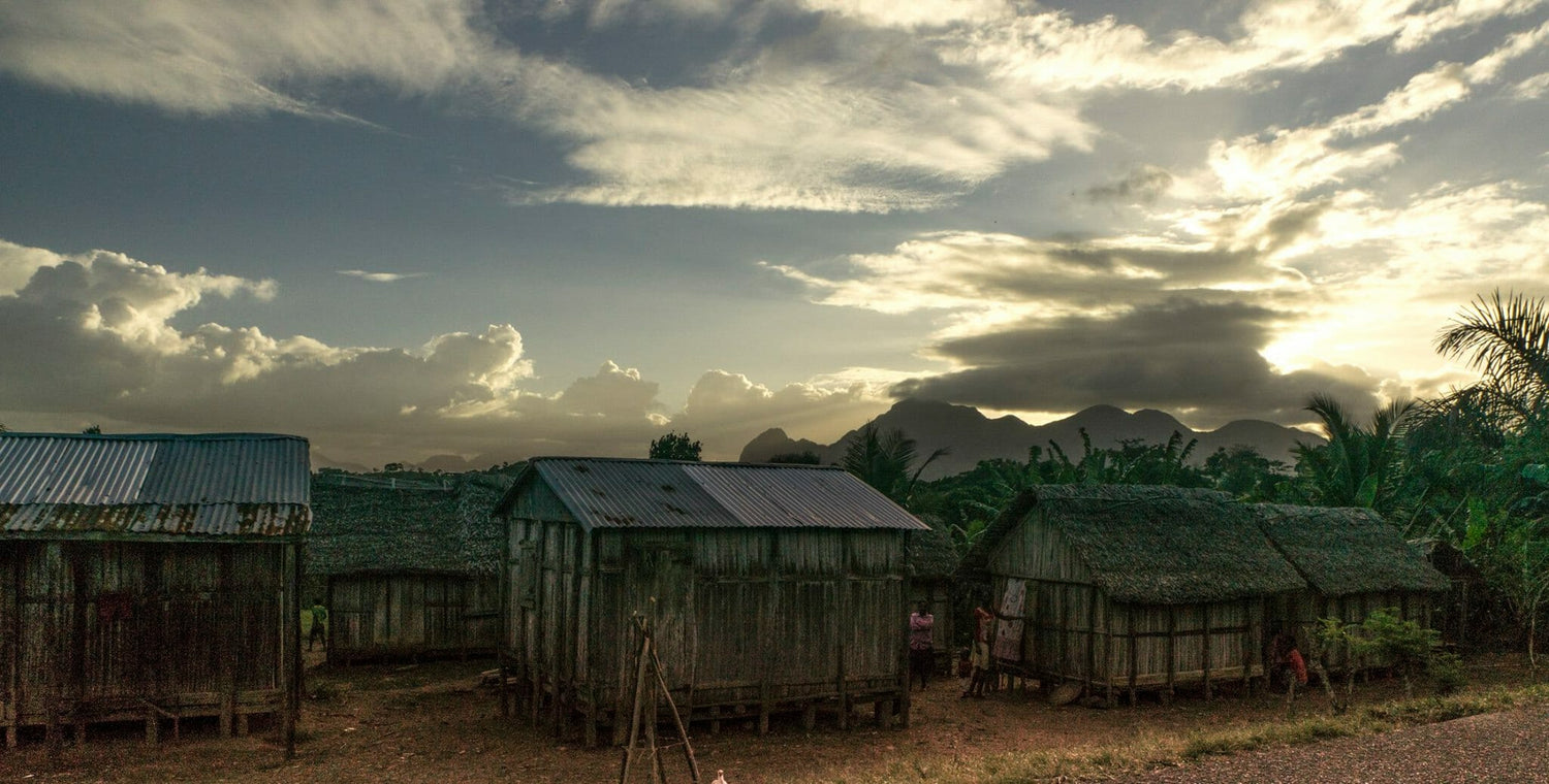 VANILLA MARKET REPORT: November 2015