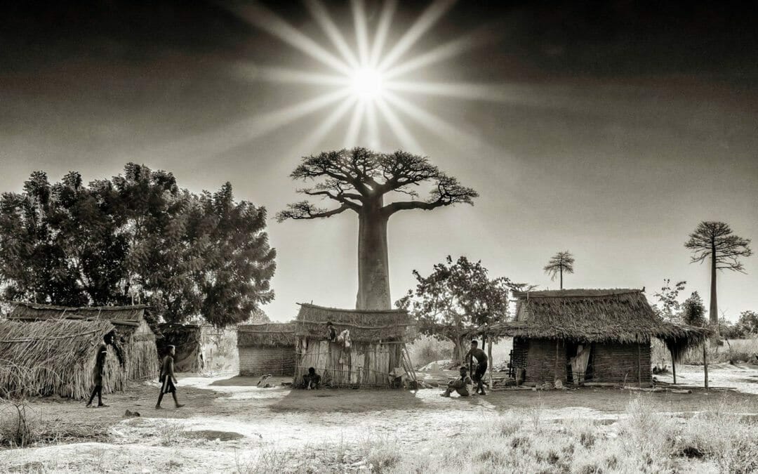 VANILLA MARKET REPORT: October 2016