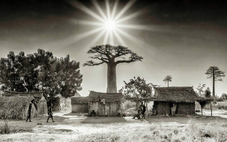 VANILLA MARKET REPORT: October 2016